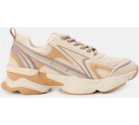 Steve Madden Women's Heritage Low-Top Trainers Taupe Rose Gld 3 (36) Female