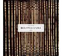 Steve Moore - Beloved Exile