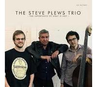 Steve Plews Trio - The Importance of What is Not