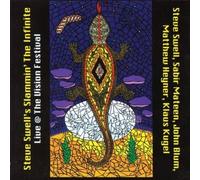 Steve Swell - Slammin The Infinite: Live at Vision Festival [Import]