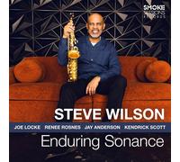 Steve Wilson – Enduring Sonance – The Orchard