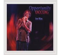 Steve Wilson - Opportunity Knocking