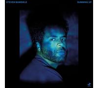 Steven Bamidele Summing Up (Vinyl) 12" Album