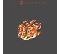 Steven Bernstein & The Hot 9 – Manifesto Of Henryisms (Community Music, Vol. 3) – Vinyle (LP)
