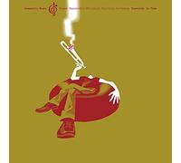 Steven Bernstein's Millennial Territory Orchestra - Tinctures In Time (Community Music, Vol. 1) [Vinyl LP]