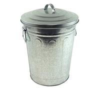 Steven Raichlen SR8012 Seau à Charbon de Bois/Cendres avec Couvercle galvanisé Acier Argent 27,69 x 27,69 x 34,67 cm