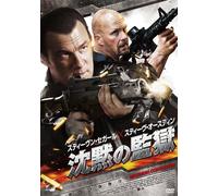 Steven Seagal-Maximum Conviction [Edizione: Giappone] [Import]