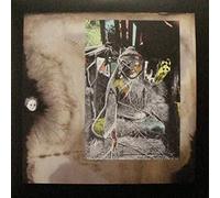 STEVEN & TIBET,DAVID STAPLETON - THE THREATS OF MEMORIES DOUBLE 2 VINYL LP NEUF