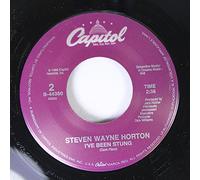 STEVEN WAYNE HORTON - steven wayne horton LP