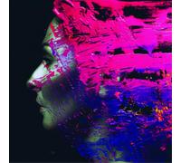 Steven Wilson Hand. Cannot. Erase (Vinyl) 12" Album (Gatefold Cover)