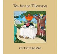 Stevens, Cat - Tea for The Tillerman-HQ