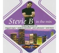 Stevie B - in The Mix