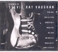Bonnie Raitt – A Tribute To Stevie Ray Vaughan