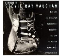 Stevie Ray Vaughan : Tribute To Stevie Ray Vaughan [VHS]
