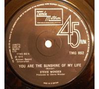 STEVIE WONDER - STEVIE WONDER / YOU ARE THE SUNSHINE OF MY LIFE