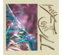 Stewart, Macie - Mouth Full of Glass (Purple)