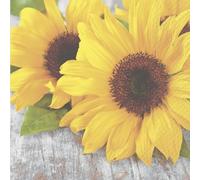STEWO 2572681110 Serviettes de table "Isadora" 33 x 33 cm jaune