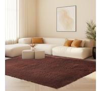 STGAO Salon Shaggy Descente de Lit 170 x 180 cm Tailles Différentes Maison Tapis de Sol Facile à Maintenir pour Salon, Chambre à Coucher, Bureau, Couloir, Marron