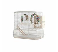 Stgfyxgs Cage Acrylique Oiseau Parrot Cage Volière Structure Fer Épaisse Transparence Haute Accès Avant Fonction Pratique Adaptée, Multicolore, Ensemble Quatre, 61 40.5 57.5CM