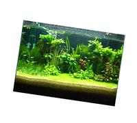 Stgfyxgs Fond Aquarium Poster Tendance Autocollant Adhésif PVC 3D Effet Tridimensionnel sans Odeur Image Précise pour Décoration Intérieure et Chambre, comme