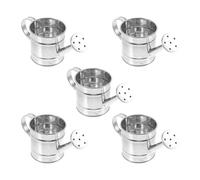 Stgfyxgs Lot de 5 Mini Arrosoirs pour Bouilloires à Eau, pour Cadeau d'anniversaire, Jardin, Bonsaï