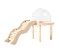 Stgfyxgs Maison en Verre pour Hamster avec Base en Bois et Baignoire à Sable, S