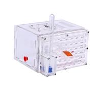 Stgfyxgs Nid D'habitation pour Fourmis avec Mangeoire, Ferme à Fourmis à Faire Soi-même pour Observation Scientifique, Décoration D'intérieur