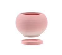 Stgfyxgs Pot de Fleurs pour Intérieur et Extérieur avec Trou de Drainage et Soucoupe, Jardinière pour Lys, Rose Dégradé