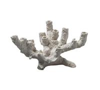 Stgfyxgs Sculpture Décorative de Poisson-Clown pour Aquarium, Grotte de Reproduction, Figurine Ornementale pour Aquariums Marins et Passionnés D'aquariophi, Style A