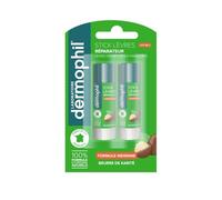 Stick à lèvres Réparateur Protecteur Formule Indienne DERMOPHIL - le lot de 2 stick Lot De 3 - Par Lot