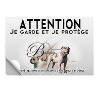 Stick Attention au chien american bulldog