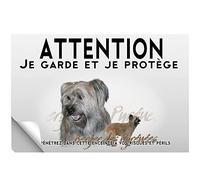 Stick Attention au chien berger des pyrénées fauve
