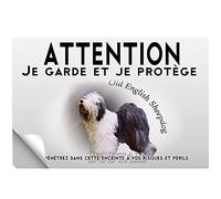 Stick Attention au chien bobtail