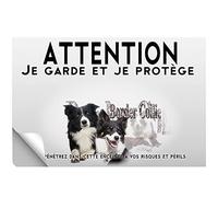Stick Attention au chien border collie