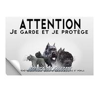 Stick Attention au chien bouvier des flandres