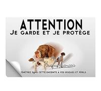 Stick Attention au chien braque francais