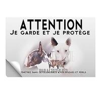 Stick Attention au chien bull terrier bringé