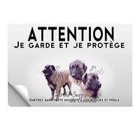 Stick Attention au chien chien estrela