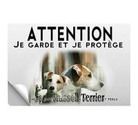 Stick Attention au chien jack russel