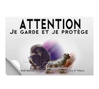 Stick Attention au chien newfoundland
