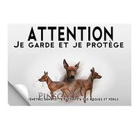 Stick Attention au chien pinsher