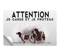 Stick Attention au chien springer spaniel