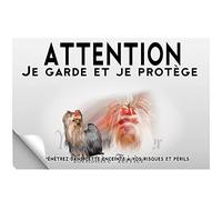 Stick Attention au chien yorkshire terrier