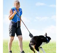 Stick De Formation - Target Stick Dog | Stickk D'entraînement Multifonctionnel, Poteau De Flirt pour Les Petits Chiens Domestiques pour Animaux De Compagnie Équipement pour Animaux De Compagnie