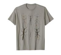 Stick Insect Collection Espèces Bugs Vintage Entomologie T-Shirt