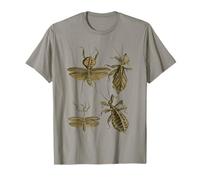 Stick Insect Collection Espèces Bugs Vintage Entomologie T-Shirt
