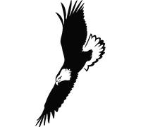 Sticker Aigle en plein vol