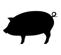 Sticker ardoise cochon