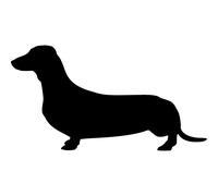 Sticker ardoise teckel