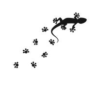 Sticker auto salamandre et ses pattes